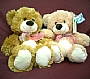 Yy Bear With Ribbon M 4col B